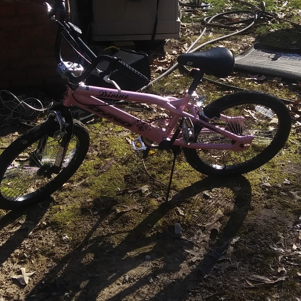 Dyno bike